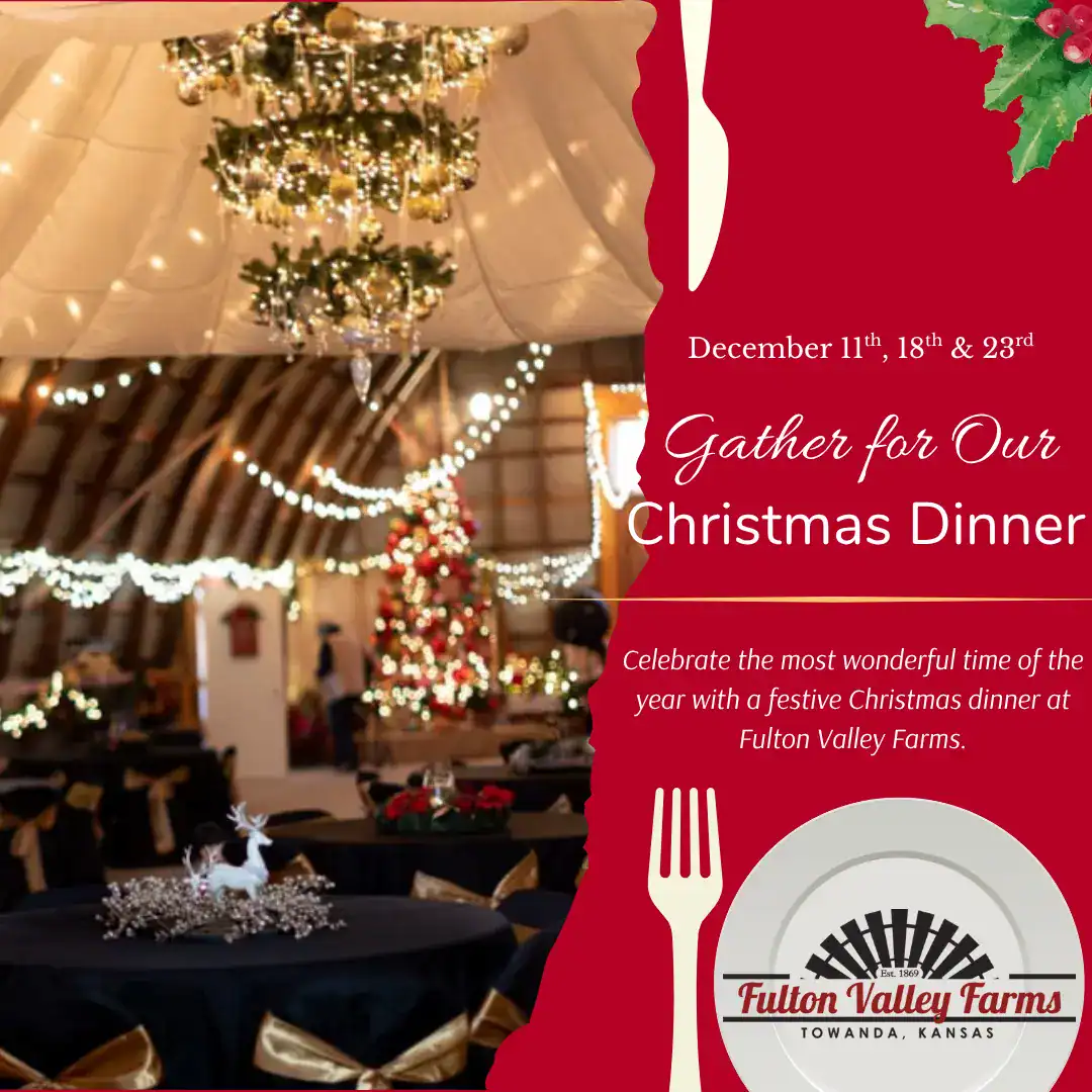 Christmas Dinner 1