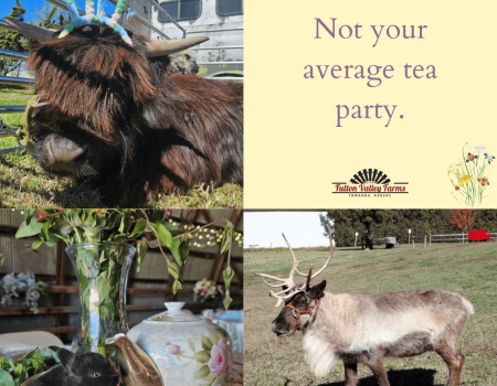 Carousel Ad - Option 3 (1)